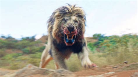 beast movie wiki|beast lion movie 2022.